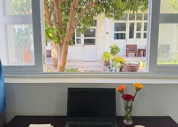 đồi Dừa Phan Thiết